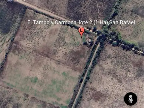 Terreno en Venta de 10000,0 m2