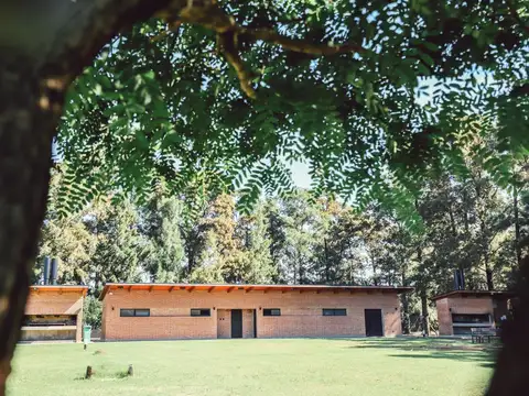 Azahares del Paraná