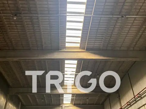 Galpon en Alquiler 60  mts Fondo