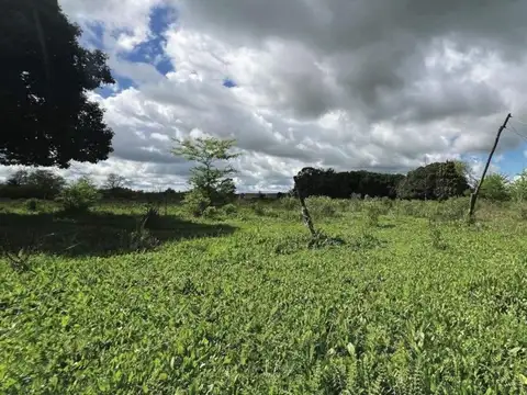 Campo en venta - 10.000Mts2 - Mercedes