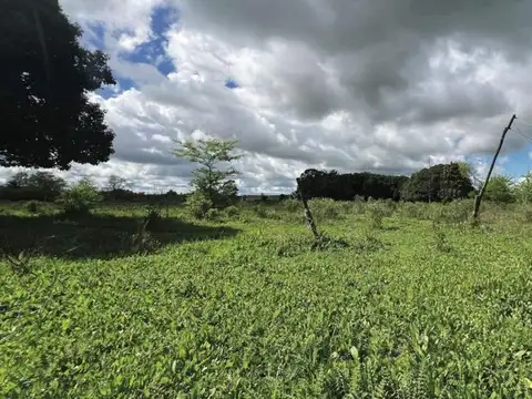 Campo en venta - 10.000Mts2 - Mercedes