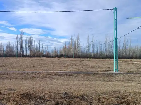Terreno en Venta en Cinco Saltos, USD 10.000