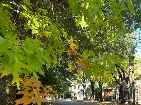 Terreno en Venta en San Isidro, Partido de San Isidro