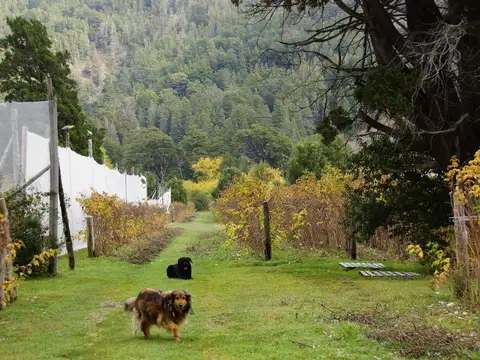 Chacra de 5has en Venta - Sobre Ruta 40 - El hoyo - Chubut