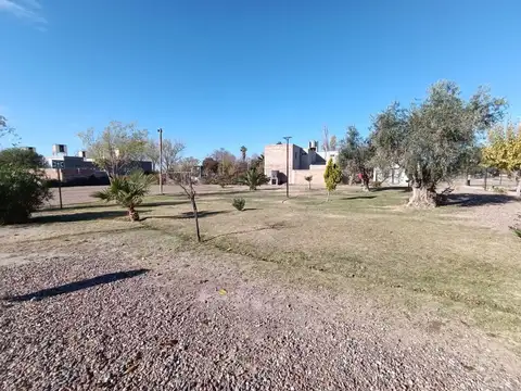 SE VENDE OBRA GRUESA EN RODEO DEL LA CRUZ, MZA.