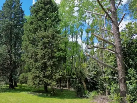 Terreno en Venta de 1700,0 m2