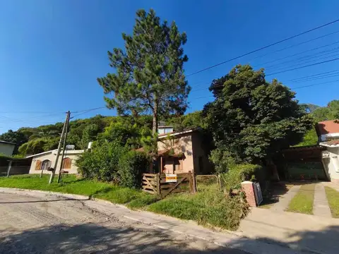 San Carlos 100