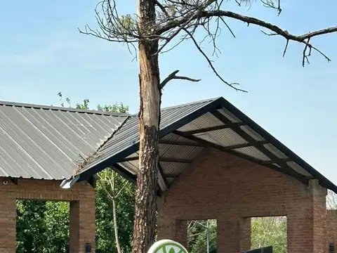 La Comarca - Corredor Bancalari 36700