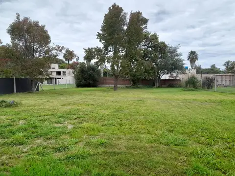 Terreno en Venta 43  mts Fondo