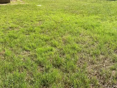Terreno en Venta 50  mts Frente
