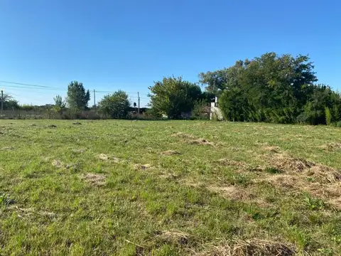 Terreno en Venta 31  mts Fondo