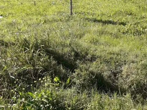 Terreno en Venta de 245,0 m2