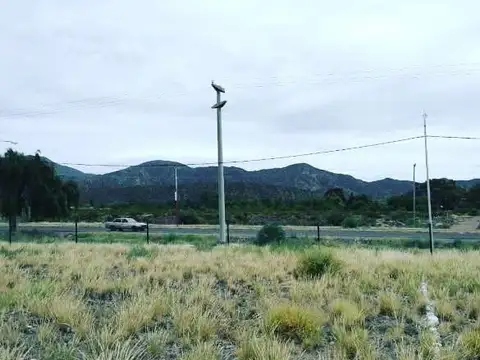 Regalado Olguín 3700