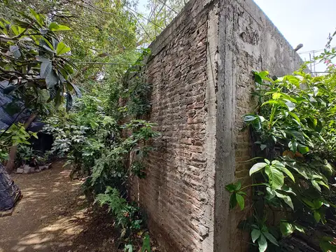 Lope de Vega al 3100