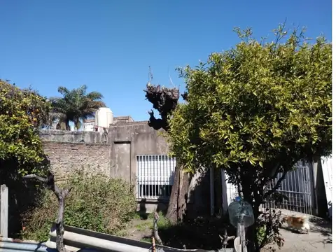 Buen PH con fondo, sobre lote de 8.66 x 30 mtros. se escucha