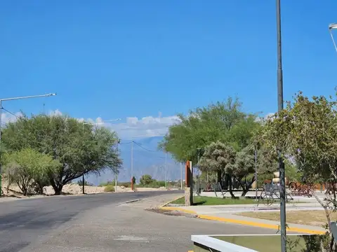 Ruta Provincial 60 100