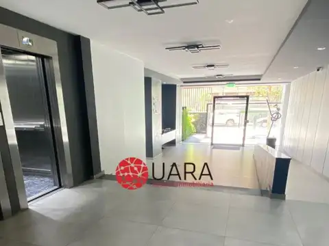 PALATINUS - Entrega Enero 0001