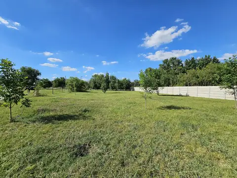 Terreno en Venta 52  mts Fondo