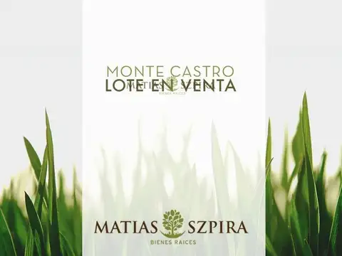 Lote . | Miranda 4500