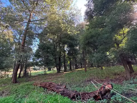 Terreno en Venta en Laguna Brava, USD 35.000