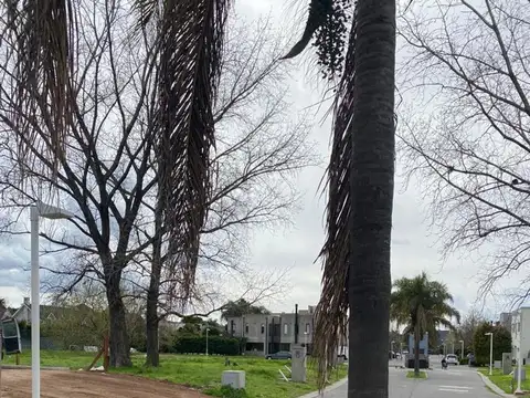 Rabida y Padre Acevedo