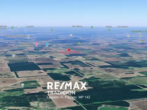 Campo Agricola en Venta - 100has Colonia J.Marmol
