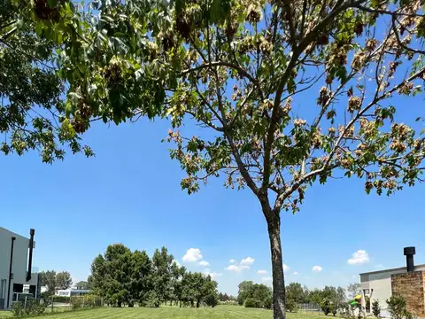 Lote en venta en La Reserva Sofitel Cardales