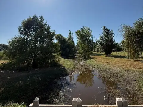 Venta Chacra de 1 Ha con Arroyo en Loma La Escondida.