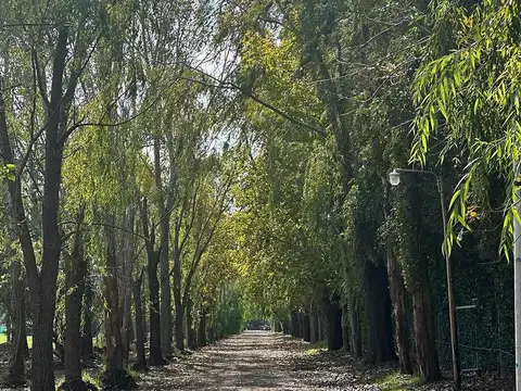 Terrenos Posesión Inmediata