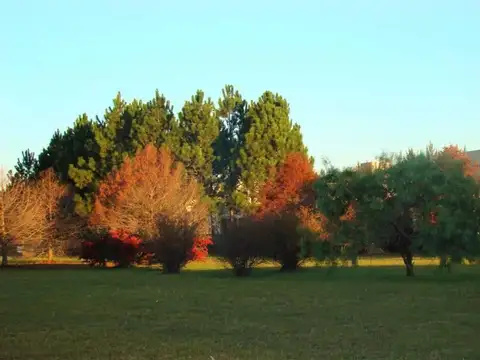 Terrenos Posesión Inmediata