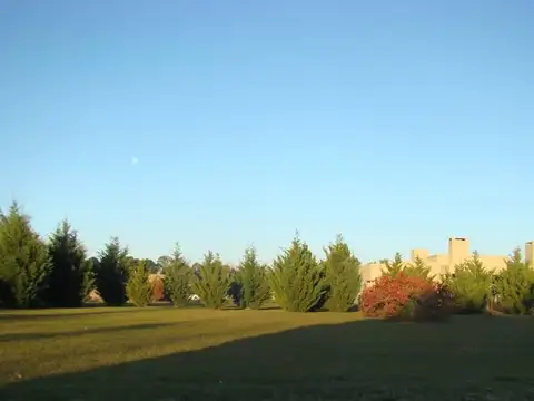 Terrenos Posesión Inmediata