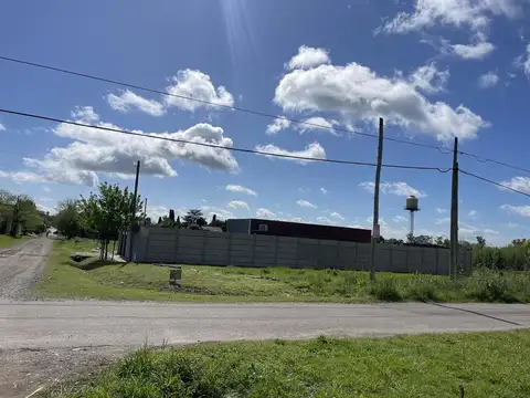 10 y 421