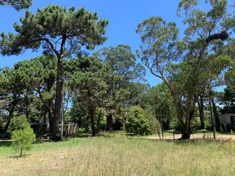 Terreno en Venta de 500,0 m2