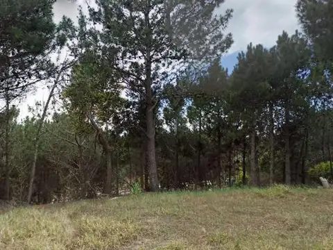 Terreno en venta - 1000mts2 - Barrio Residencial I, Costa Esmeralda