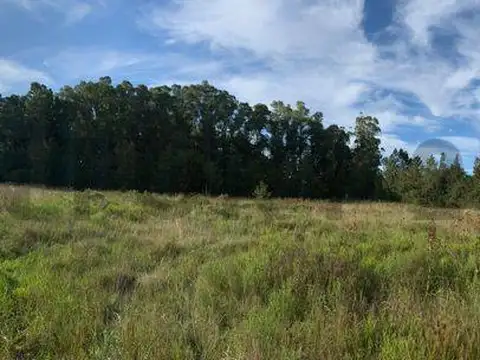 Lote en Veronica/Punta Indio en venta
