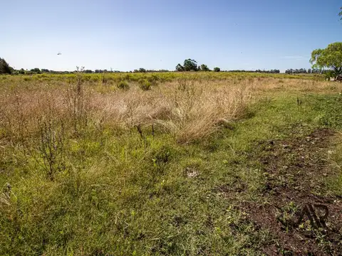 Chacra Rural 5 hectareas Progreso Canelones
