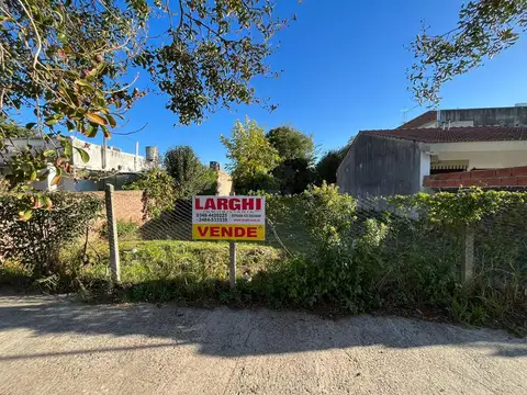 Carlos Pellegrini al 600