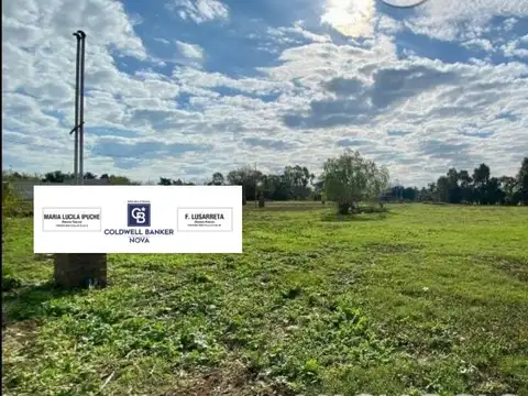 Terreno a estrenar 