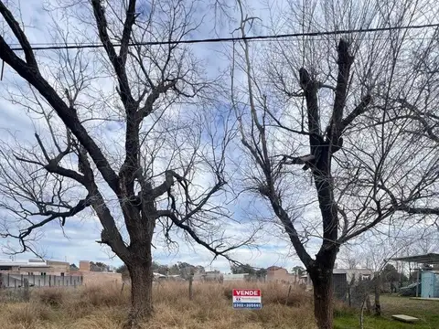 Terreno en Venta de 469,0 m2