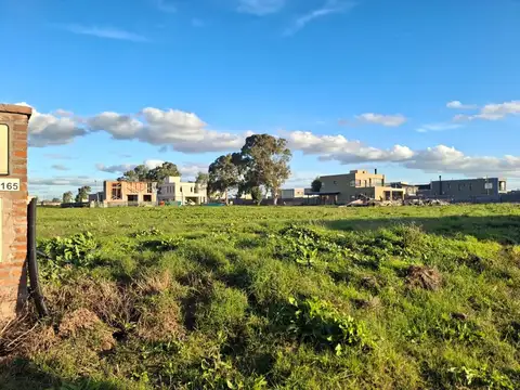 Terreno en Venta de 778,0 m2