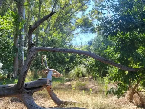 Campo en venta - 374.939Mts2  - Lima, Zarate