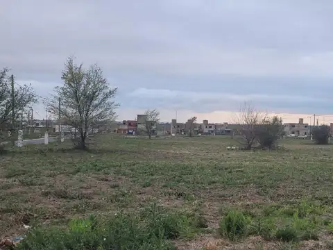Docta Parque 100