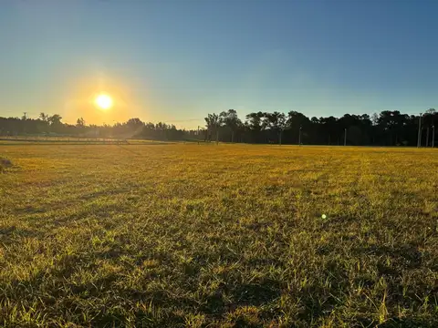 Terreno en Venta de 800,0 m2