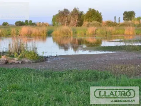 Chacra en venta en Santa Maria de Lobos Club de Polo, Lobos, Provincia de Buenos Aires