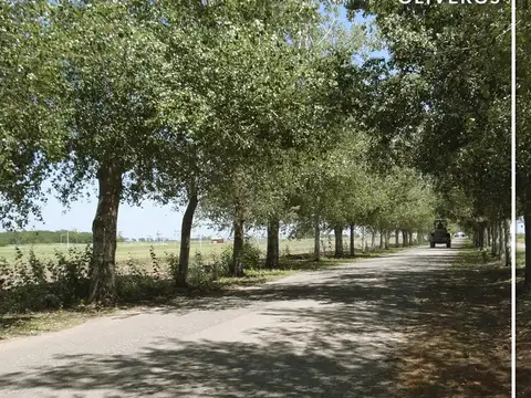 Terreno en Venta en Oliveros, USD 13.000