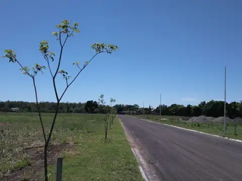 Terreno en Venta 12  mts Frente