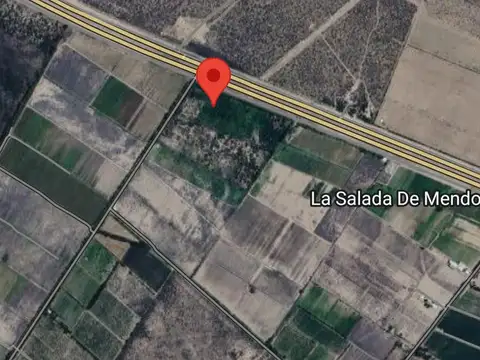 Terreno en Venta en Santa Rosa, Mendoza