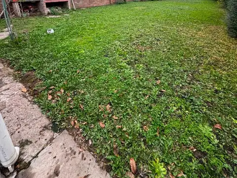 María Luisa Veron 400