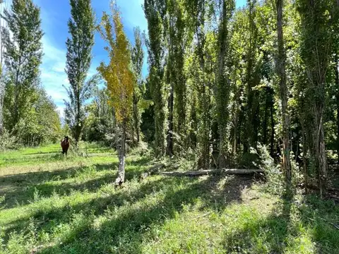 Terreno en Venta de 800,0 m2