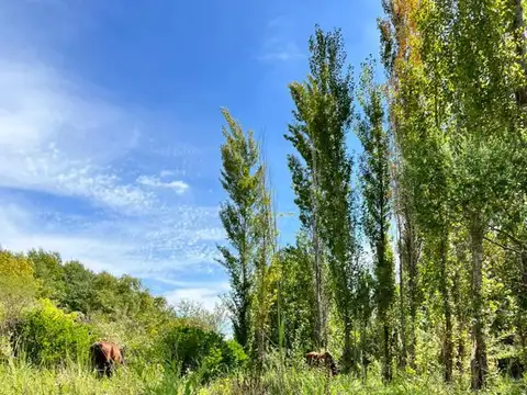Estancia la Catalina